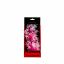 AQUATOP 6" Pink Frost Cannabis Plastic Plant w/ Weighted Base for Aquariums, PD-FCPF06